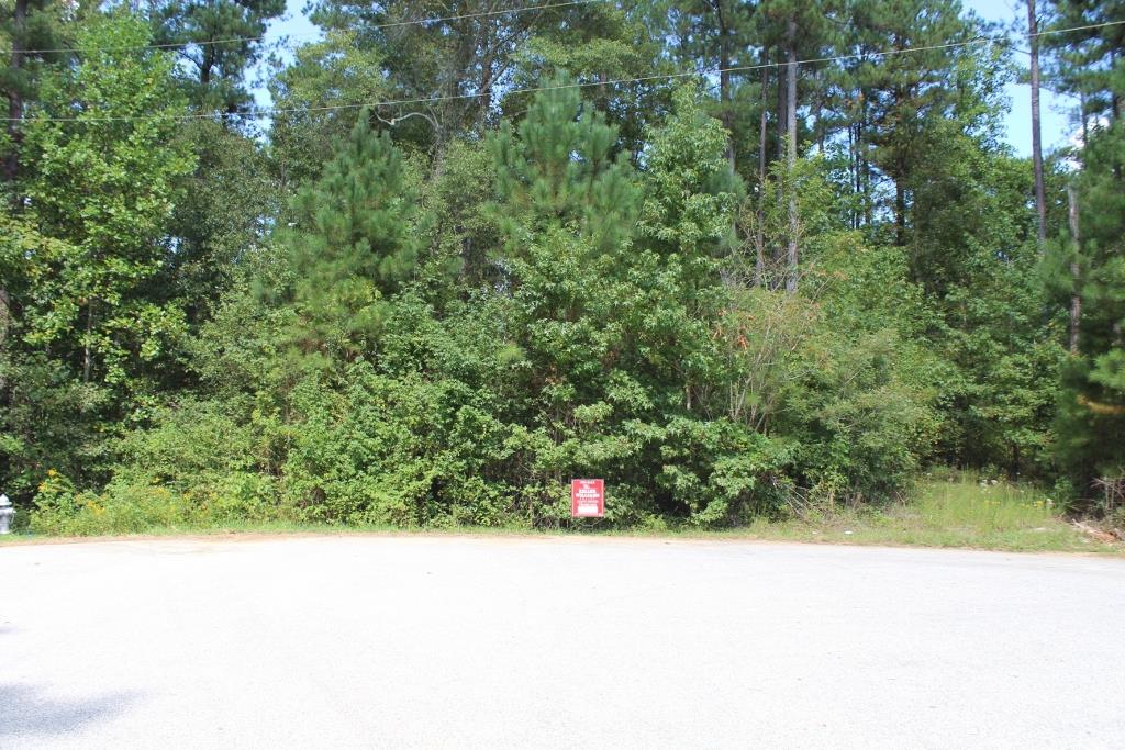 175 Haddock Pt, Brooks, GA 30205 photo 1