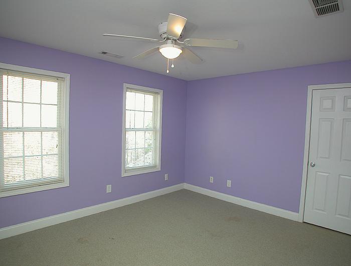 911 Old River Rd, Cornelia, GA 30531 photo 12