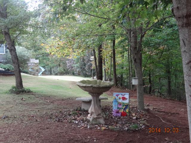 911 Old River Rd, Cornelia, GA 30531 photo 21