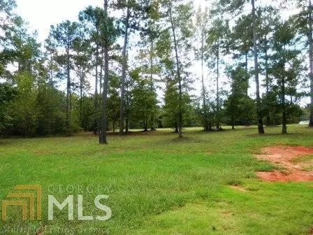 310 High Rd, Forsyth, GA 31029 photo 5