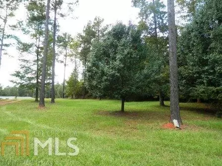 310 High Rd, Forsyth, GA 31029 photo 6