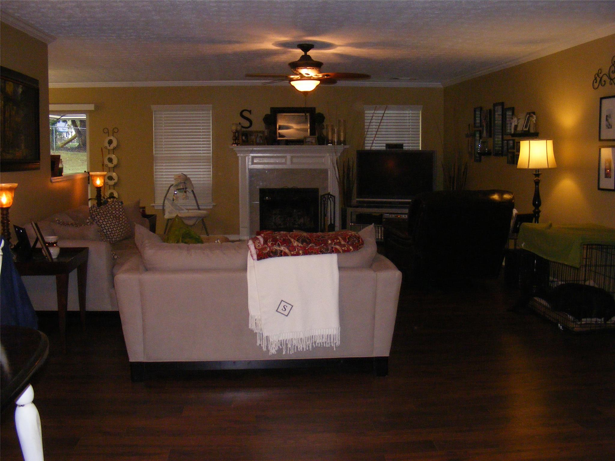 313 Ron Dr, Bethlehem, GA 30620 photo 5