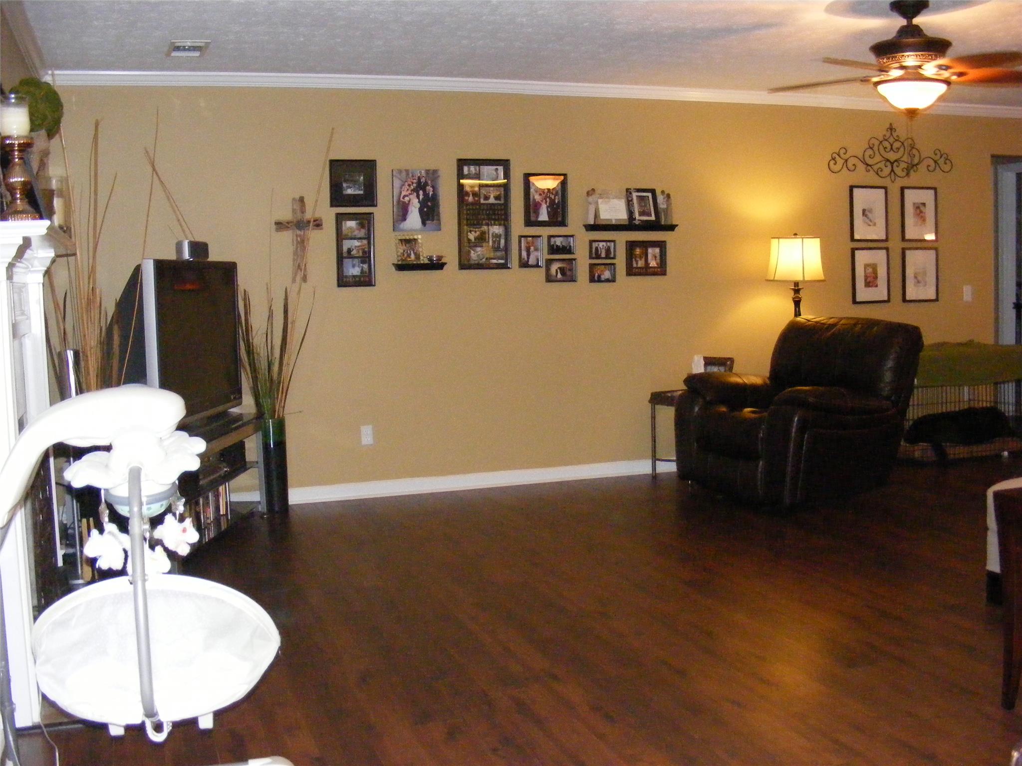 313 Ron Dr, Bethlehem, GA 30620 photo 9