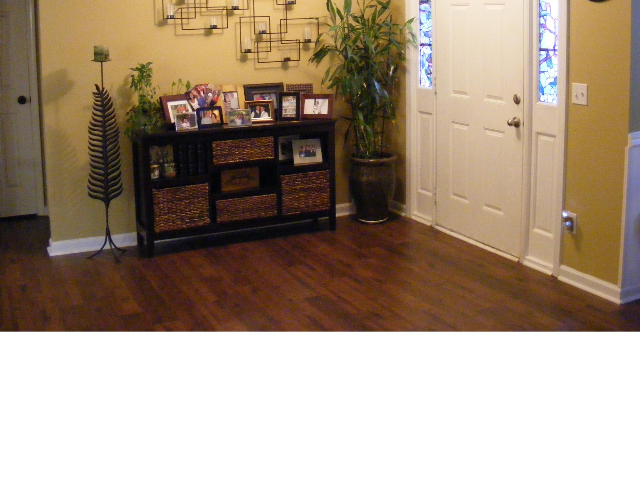 313 Ron Dr, Bethlehem, GA 30620 photo 4