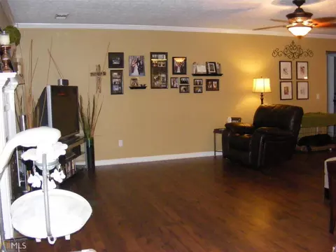 313 Ron Dr, Bethlehem, GA 30620 photo 9