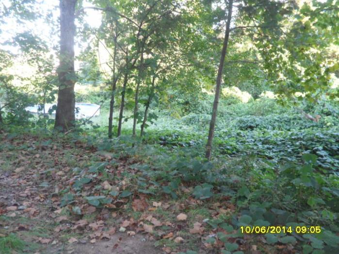 1193 Willow Trce, Grayson, GA 30017 photo 2