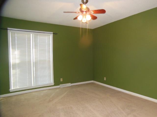 45 Cane Brake Cir, Toccoa, GA 30577 photo 20