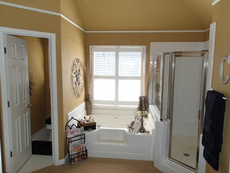 838 Misty River Ct, Dacula, GA 30019 photo 13