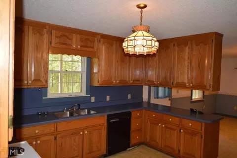 1013 Upper Burris Rd, Canton, GA 30114 photo 4