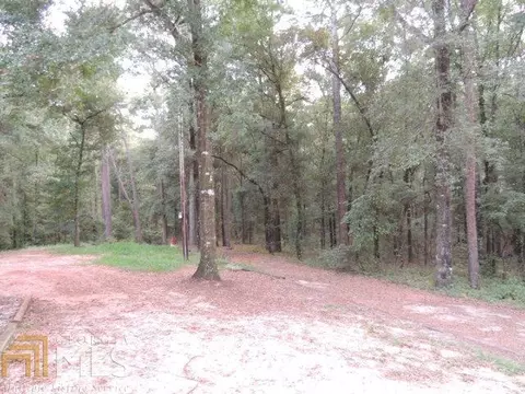 75 Christmas Rd, Shellman, GA 39886 photo 18