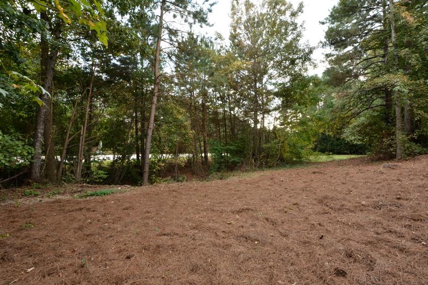 1655 Ridgemill Ter, Dacula, GA 30019 photo 6