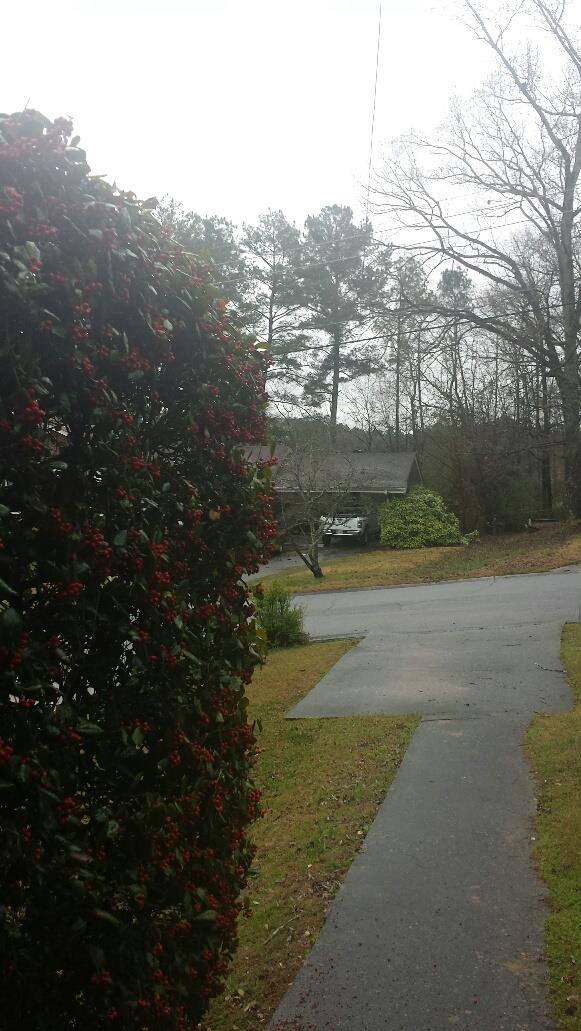 1402 Azalea Dr, Conley, GA 30288 photo 15