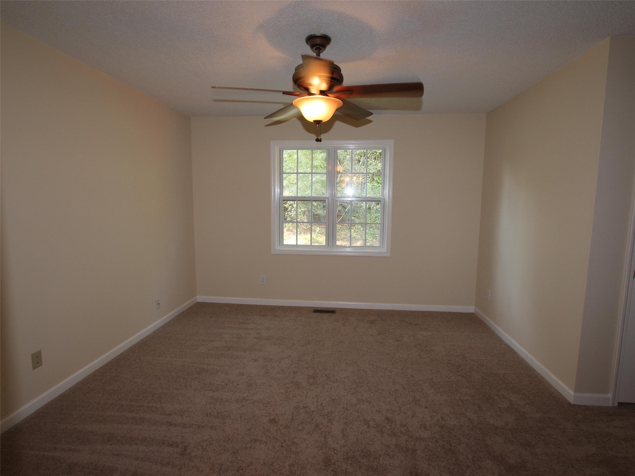 150 Castle Hl, Tyrone, GA 30290 photo 17