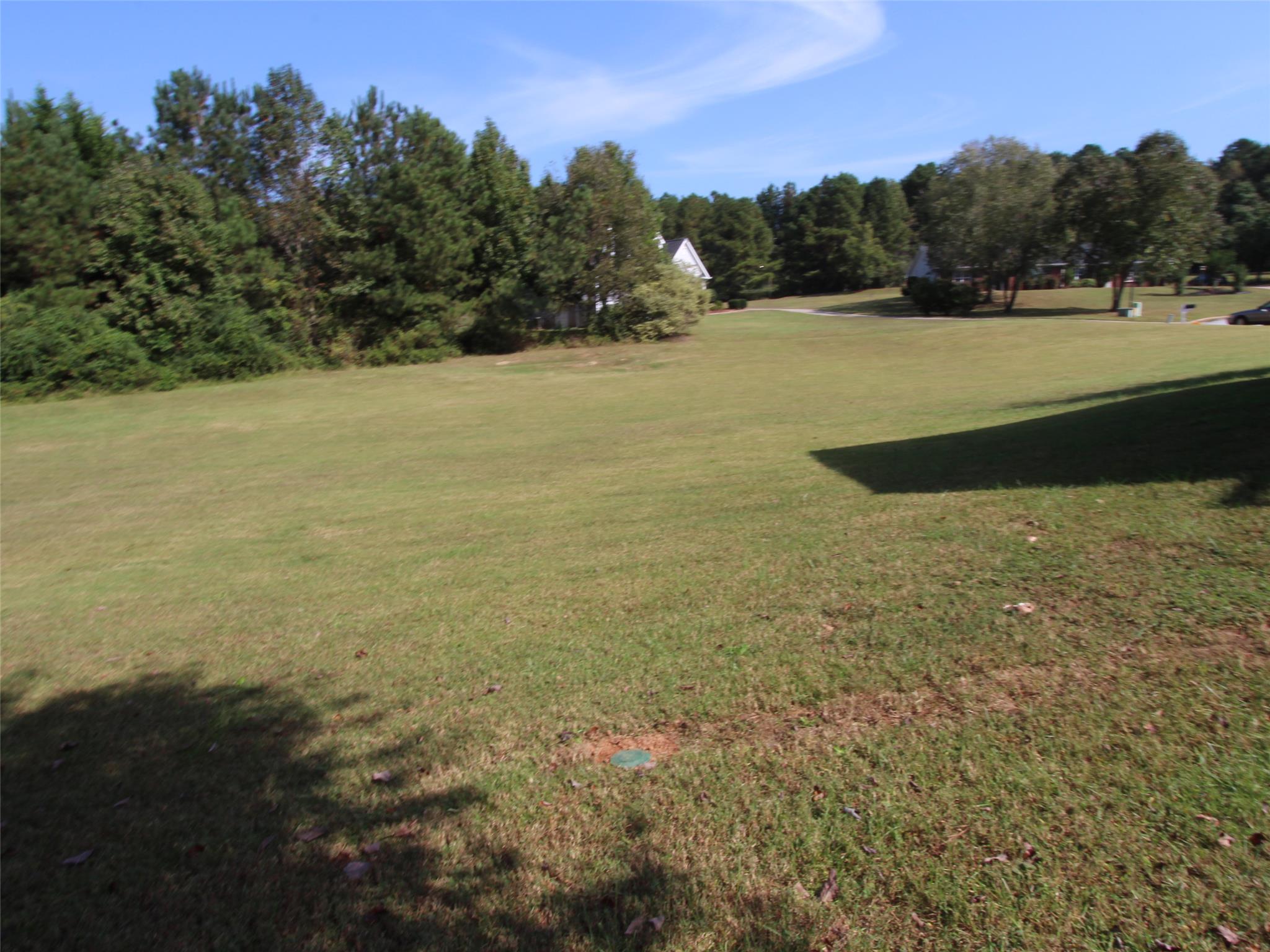 150 Castle Hl, Tyrone, GA 30290 photo 25