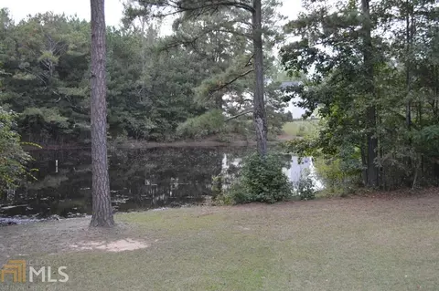 309 Russells Rd, Hampton, GA 30228 photo 10