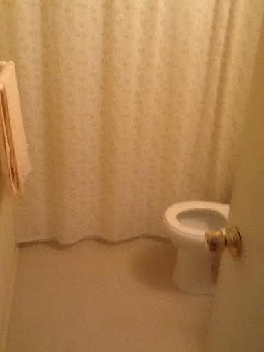 424 Graystone Dr, Winder, GA 30680 photo 9