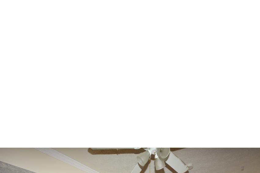 3913 Loring Ln, Duluth, GA 30096 photo 22