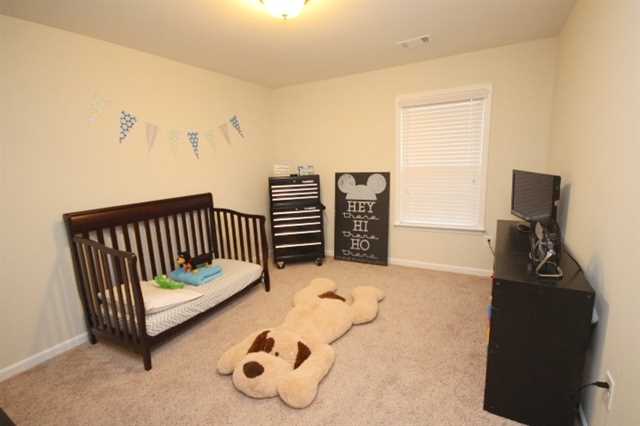 609 Lorimore Pass, Canton, GA 30115 photo 16