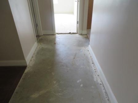 428 Wray Rd, Buchanan, GA 30113 photo 12