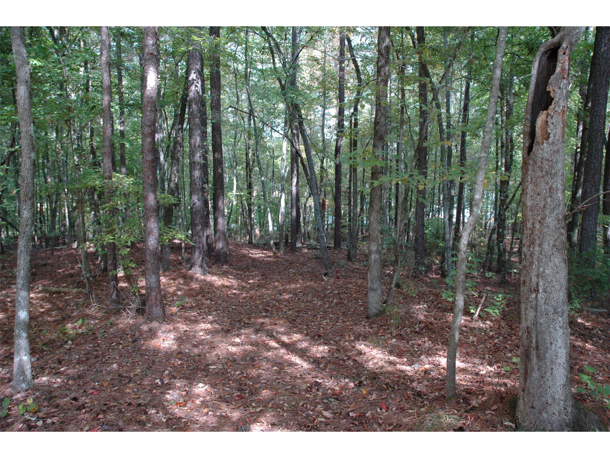 135 S Pine Cove Dr, Lagrange, GA 30240 photo 1