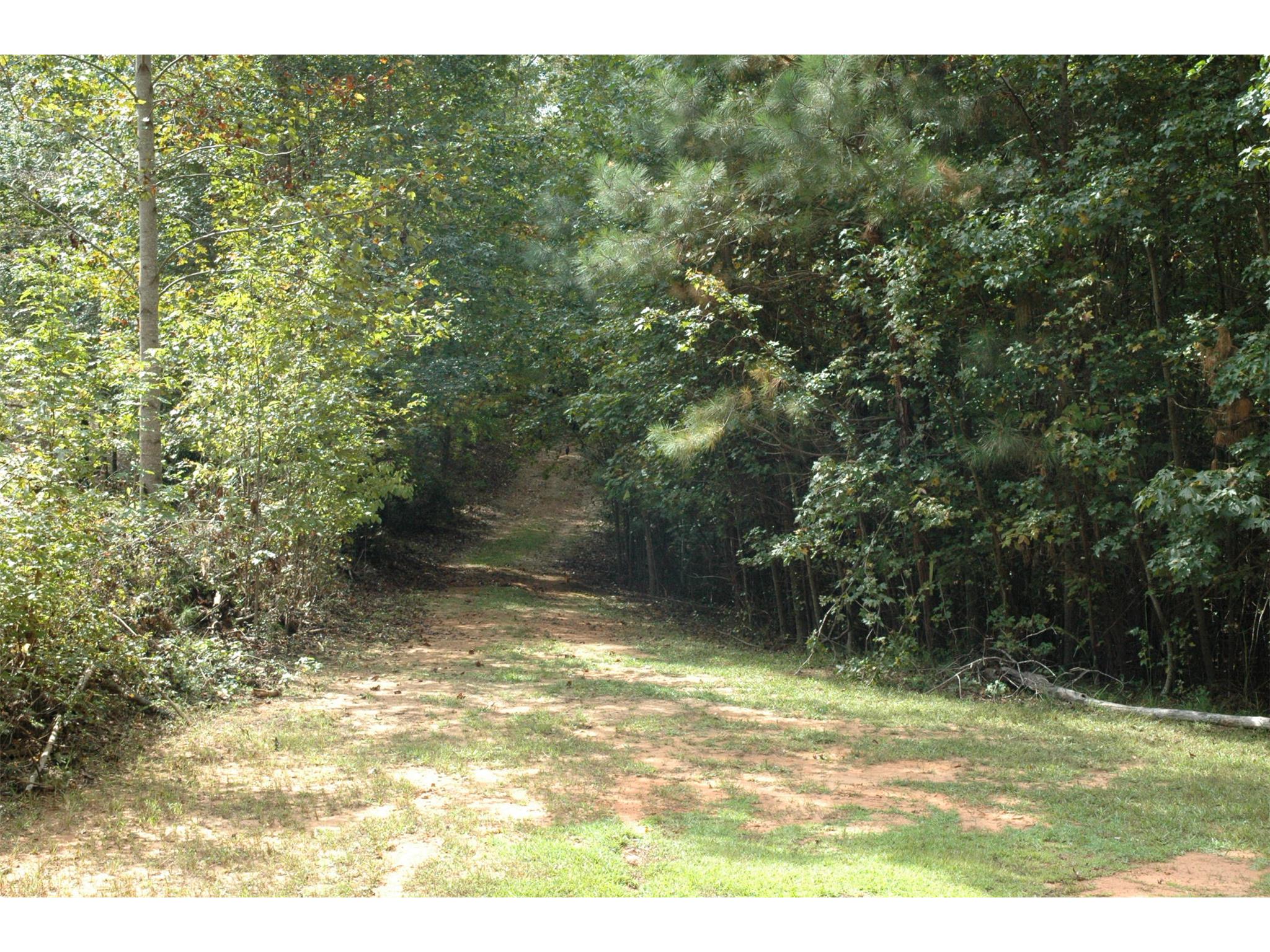 135 S Pine Cove Dr, Lagrange, GA 30240 photo 6