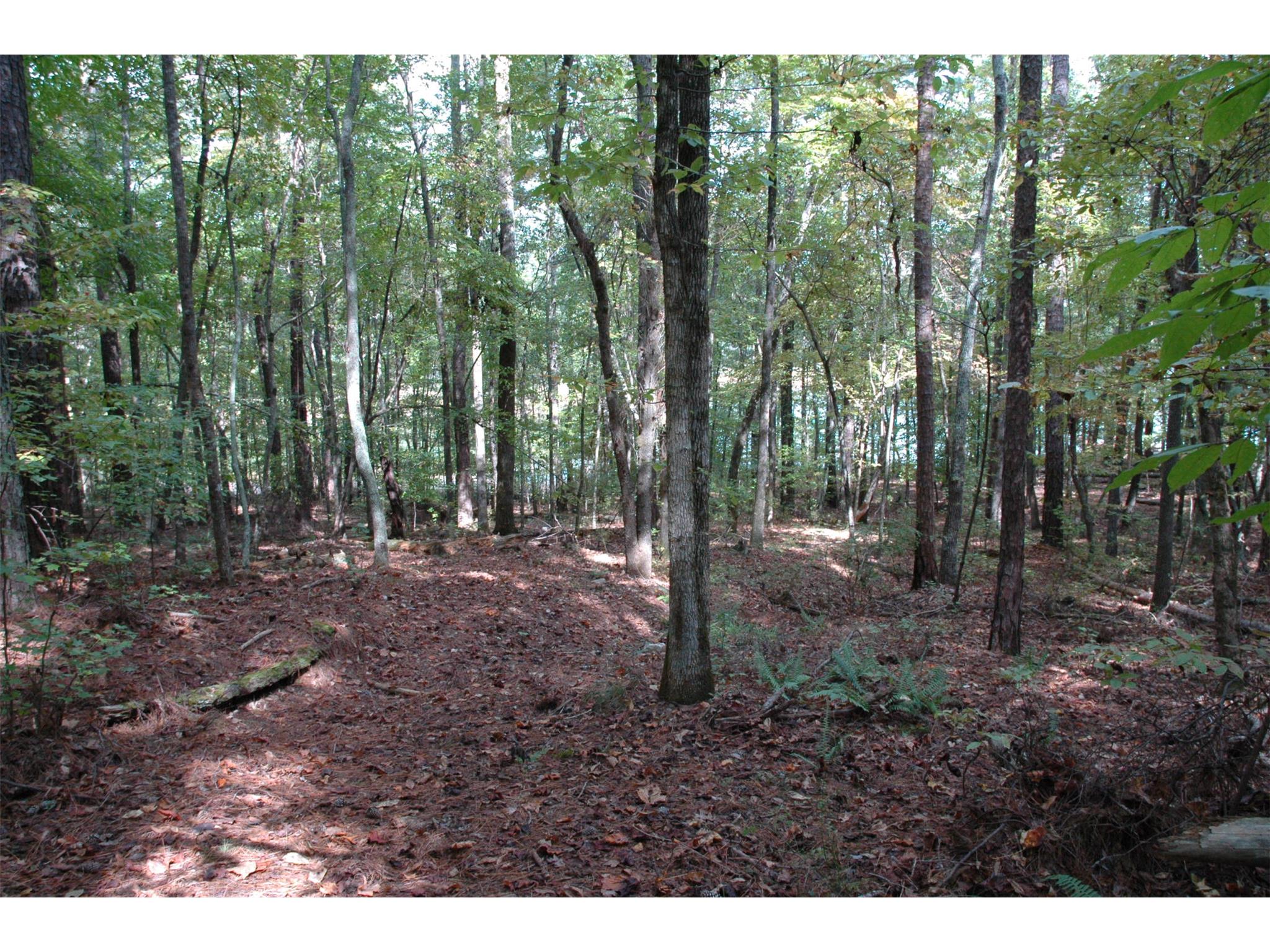 135 S Pine Cove Dr, Lagrange, GA 30240 photo 2