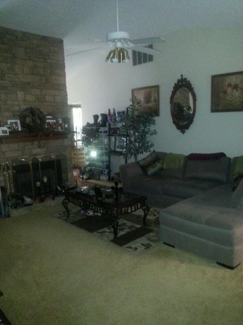 10903 Thrasher Rd, Hampton, GA 30228 photo 5