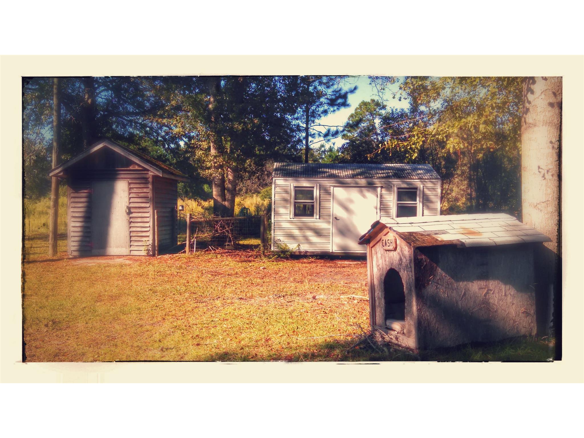 5423 Campground Rd, Claxton, GA 30417 photo 2