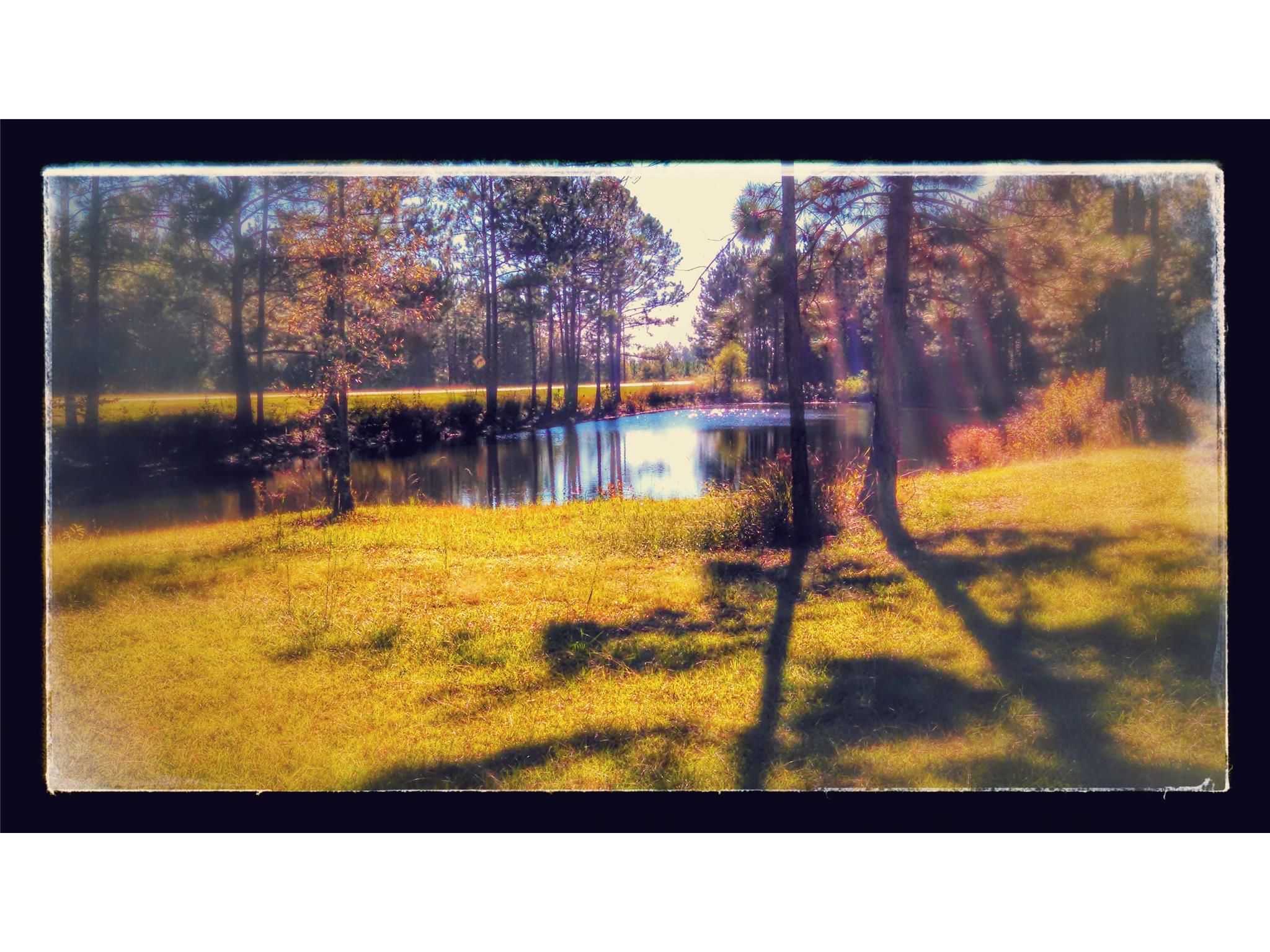 5423 Campground Rd, Claxton, GA 30417 photo 3