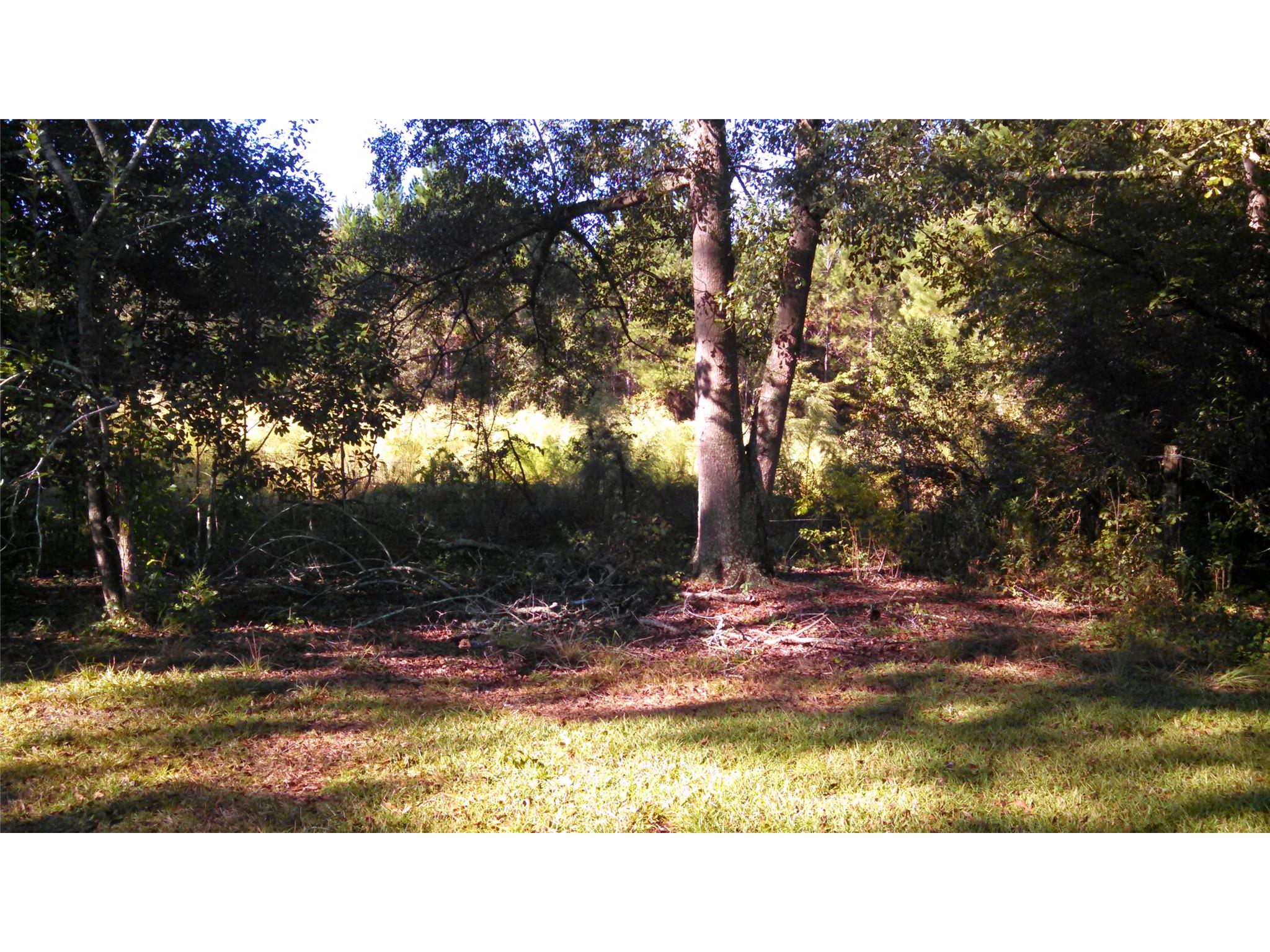 5423 Campground Rd, Claxton, GA 30417 photo 4