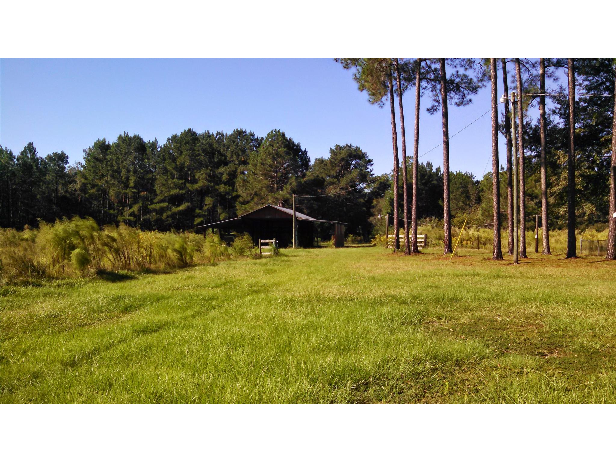 5423 Campground Rd, Claxton, GA 30417 photo 24