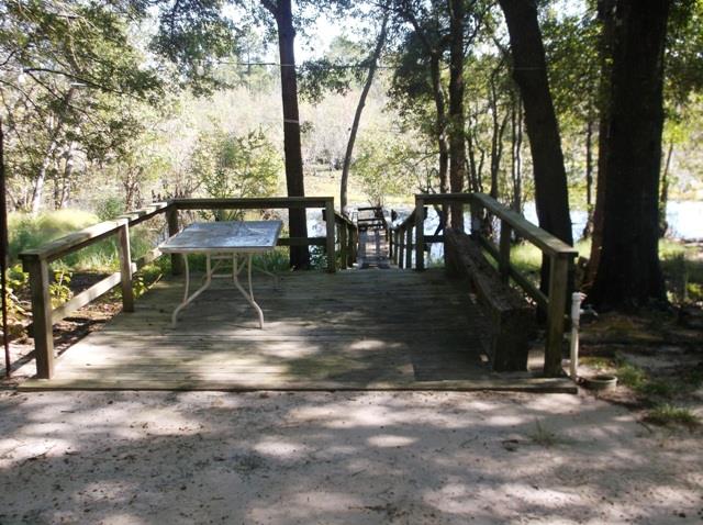 322 Carson Sands Rd, Claxton, GA 30417 photo 5