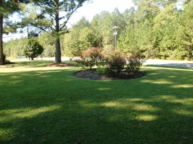 322 Carson Sands Rd, Claxton, GA 30417 photo 4