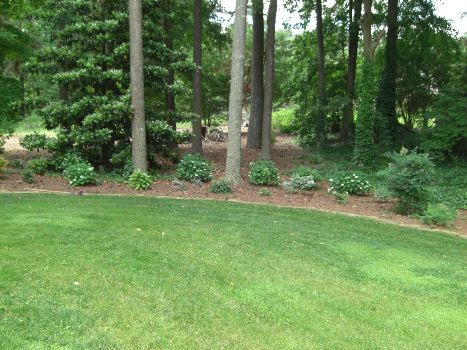 1731 Eldonlas Ct, Stone Mountain, GA 30087 photo 3