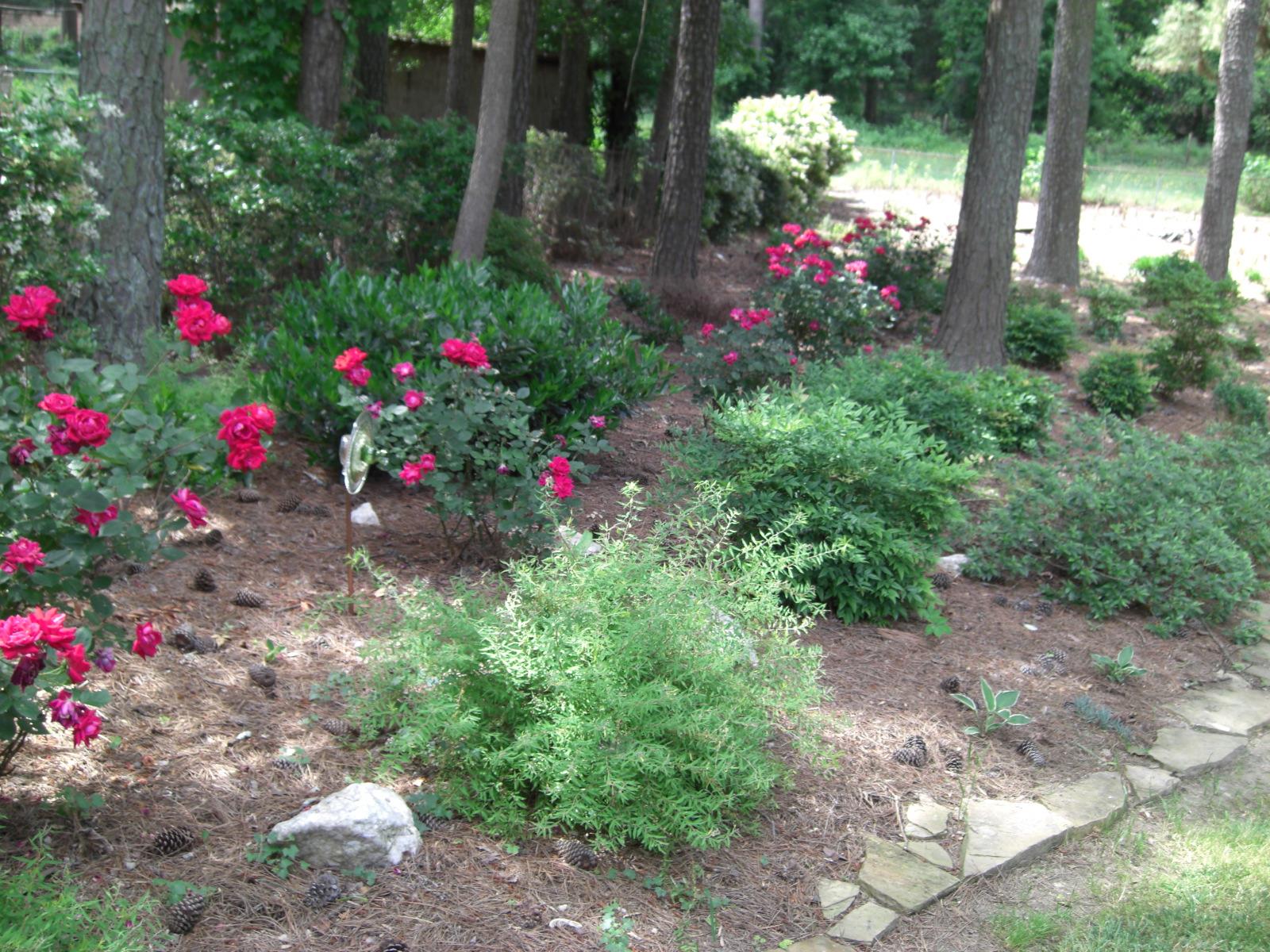 1731 Eldonlas Ct, Stone Mountain, GA 30087 photo 4