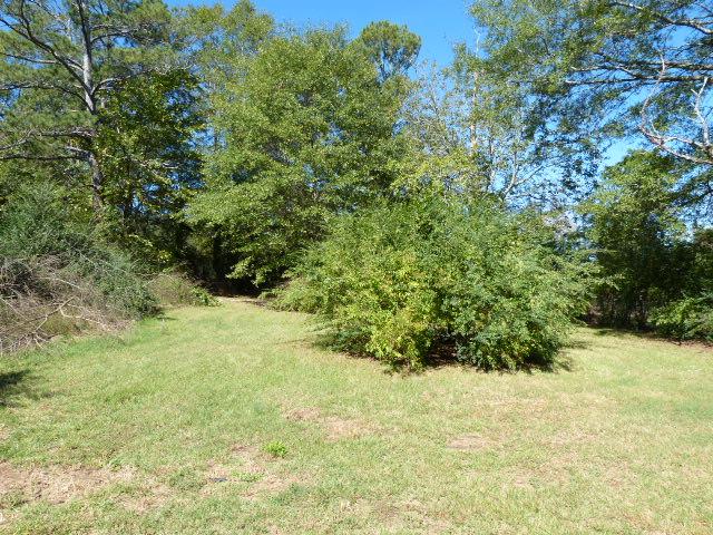 559 N Second St, Griffin, GA 30223 photo 5