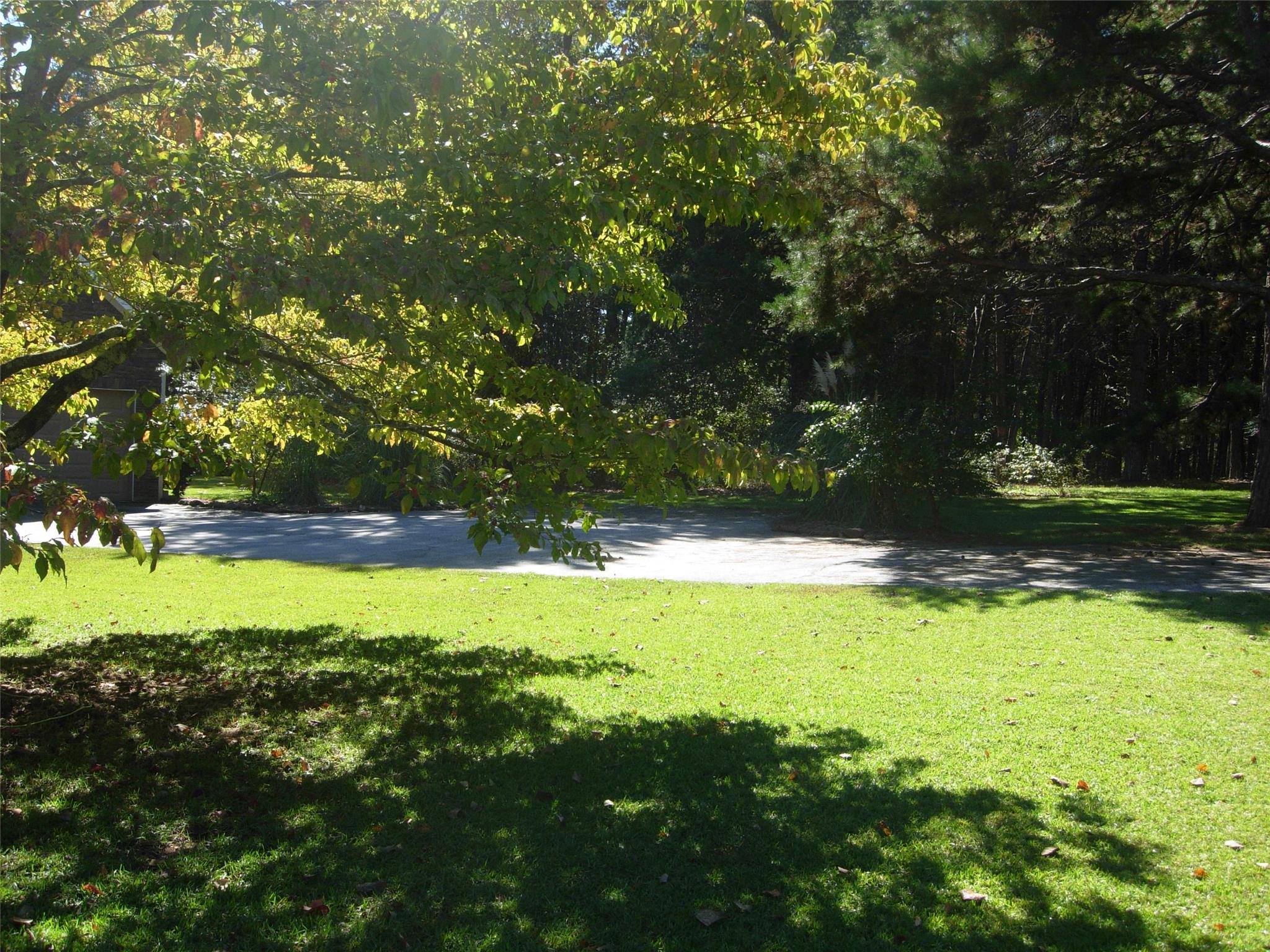 364 Currahee Pt, Toccoa, GA 30577 photo 3
