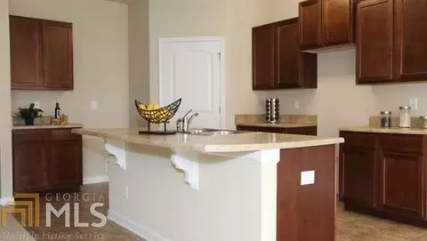 1719 Wood Stork Dr, Hampton, GA 30228 photo 3