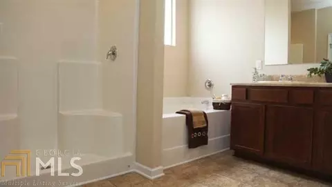 1719 Wood Stork Dr, Hampton, GA 30228 photo 11