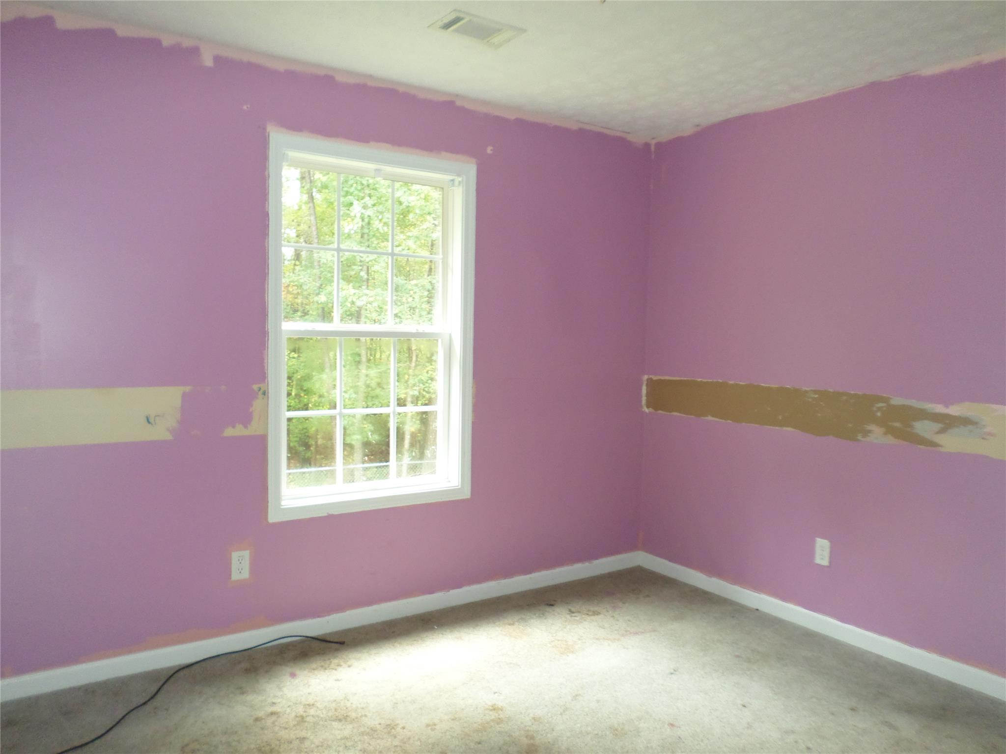 405 Dugdown Rd, Buchanan, GA 30113 photo 10