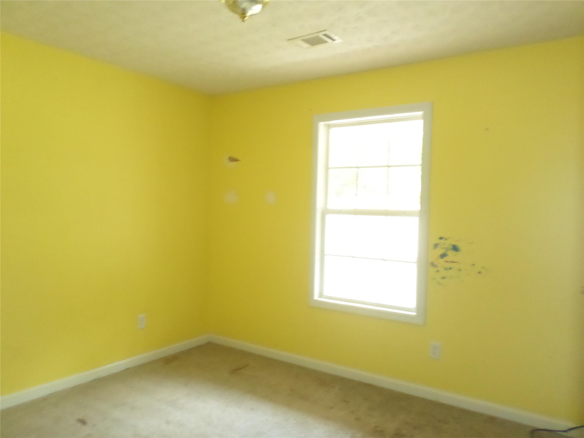 405 Dugdown Rd, Buchanan, GA 30113 photo 9