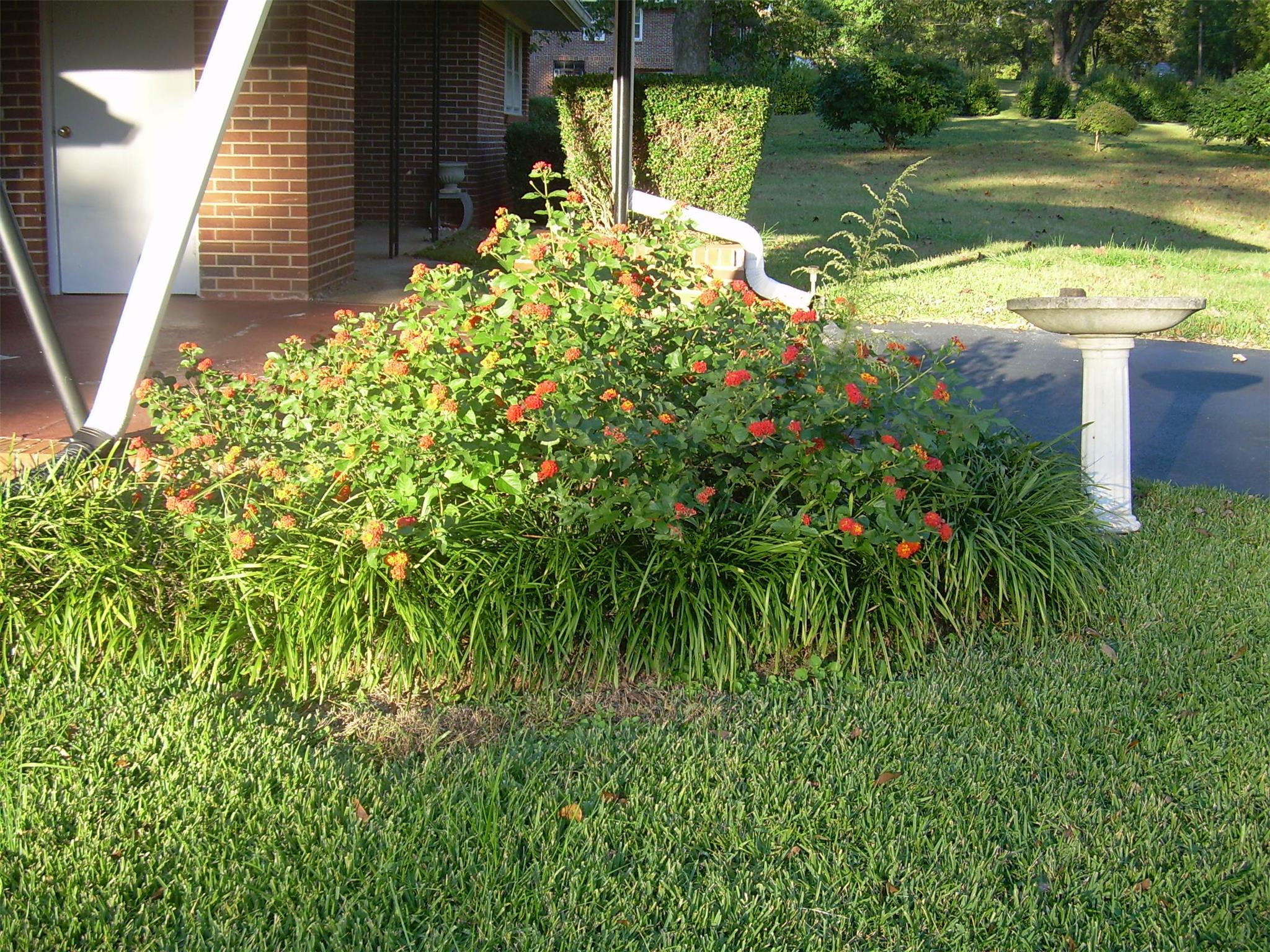 396 Scott St, Commerce, GA 30529 photo 18