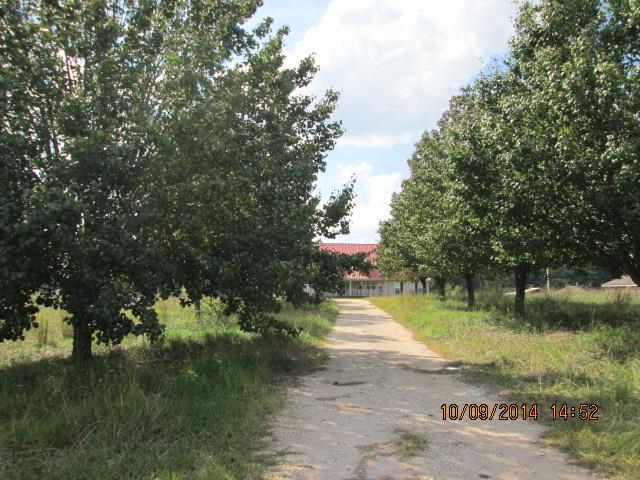 142 Stewart Rd, Lagrange, GA 30240 photo 25