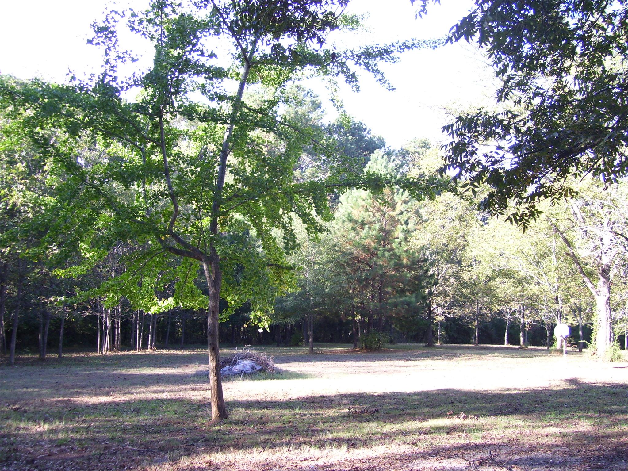 1535 E Church St, Monroe, GA 30655 photo 9