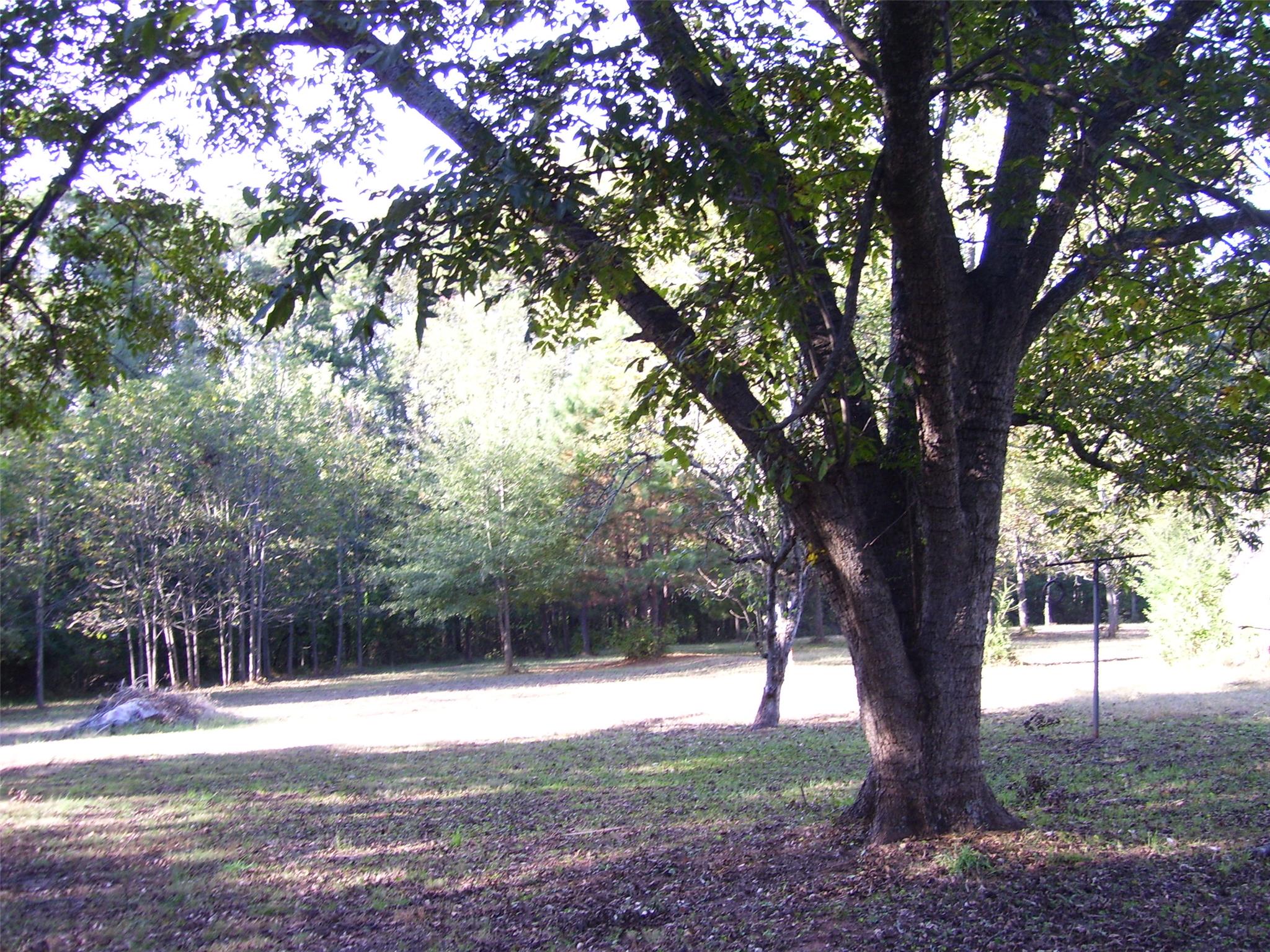 1535 E Church St, Monroe, GA 30655 photo 8