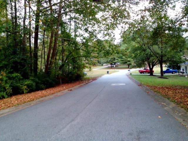 4661 Pentry Rd, Austell, GA 30106 photo 13