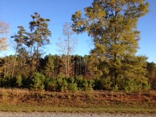 1161 Sewell Ln, Rutledge, GA 30663 photo 1