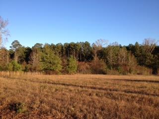 1161 Sewell Ln, Rutledge, GA 30663 photo 5