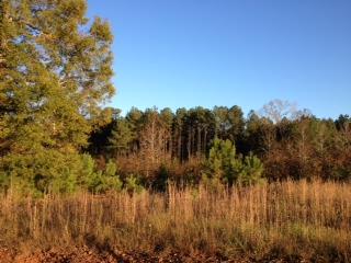 1161 Sewell Ln, Rutledge, GA 30663 photo 3