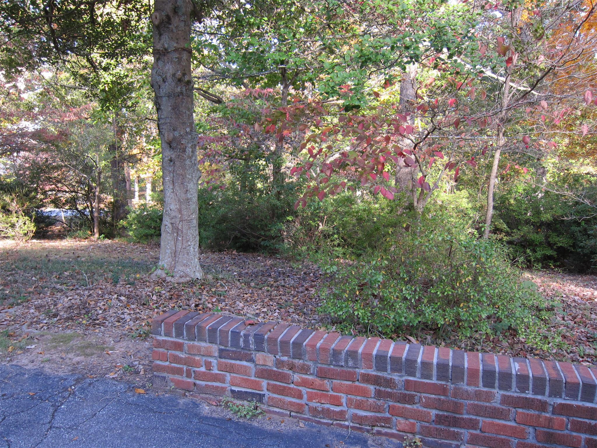 154 Chenocetah Dr, Cornelia, GA 30531 photo 23